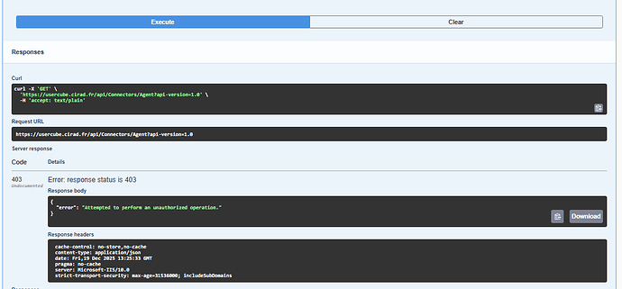 403 swagger request 2025-12-19 142926
